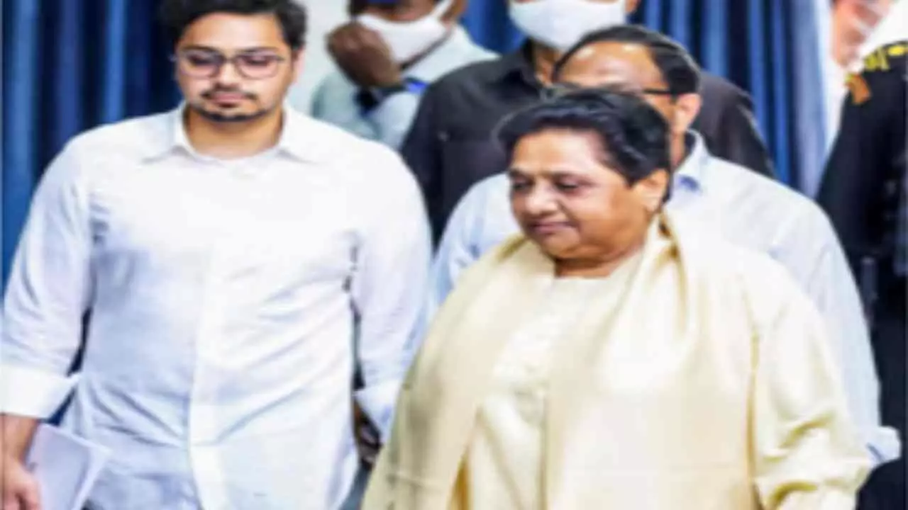 BSP MAYAWATI AKASH ANAND News (Photo Social Media)