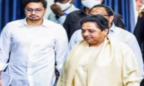 BSP MAYAWATI AKASH ANAND News (Photo Social Media)