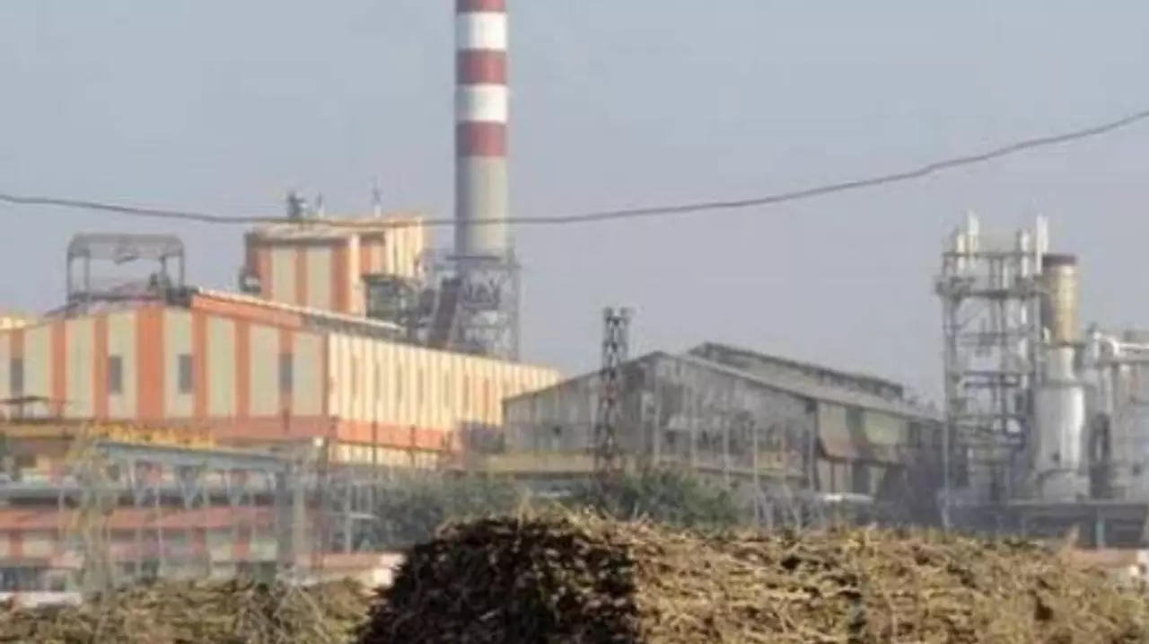 Yogi Government Budget Pipraich Sugar Mill Gorakhpur