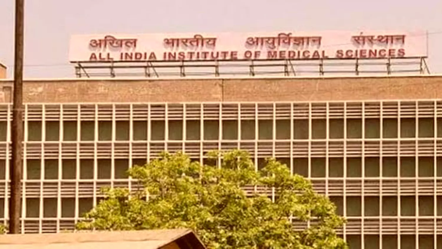 Aiims Exam :एम्स के ओपन राउंड के परिणाम किये गए घोषित, जानें  क्या है जरूरी निर्देश