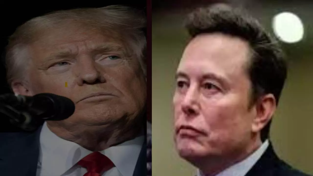 Trump Elon Musk Controversy