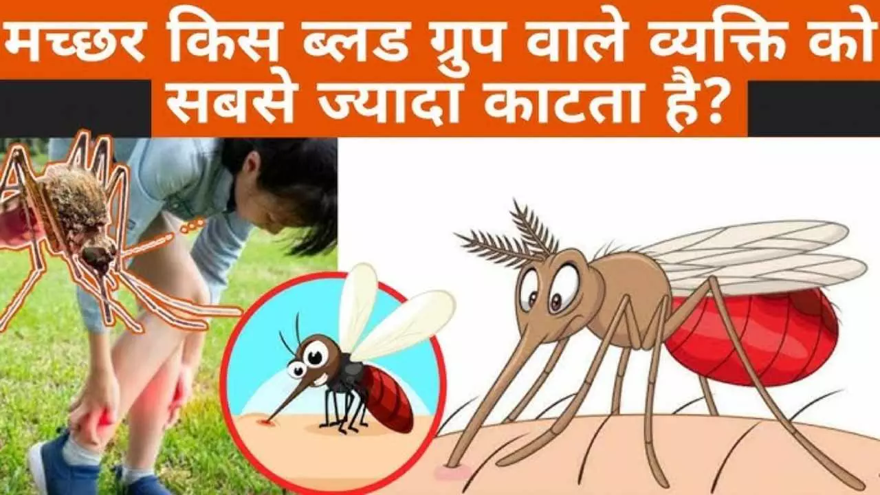 Reason Behind Mosquito Bite