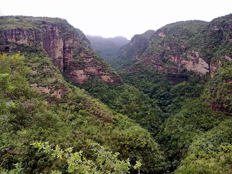 Pachmarh (Image Credit-Social Media) Pachmarh (Image Credit-Social Media)