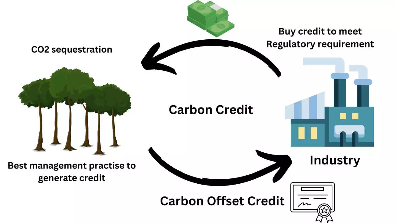 Carbon Market Business Kya Hai