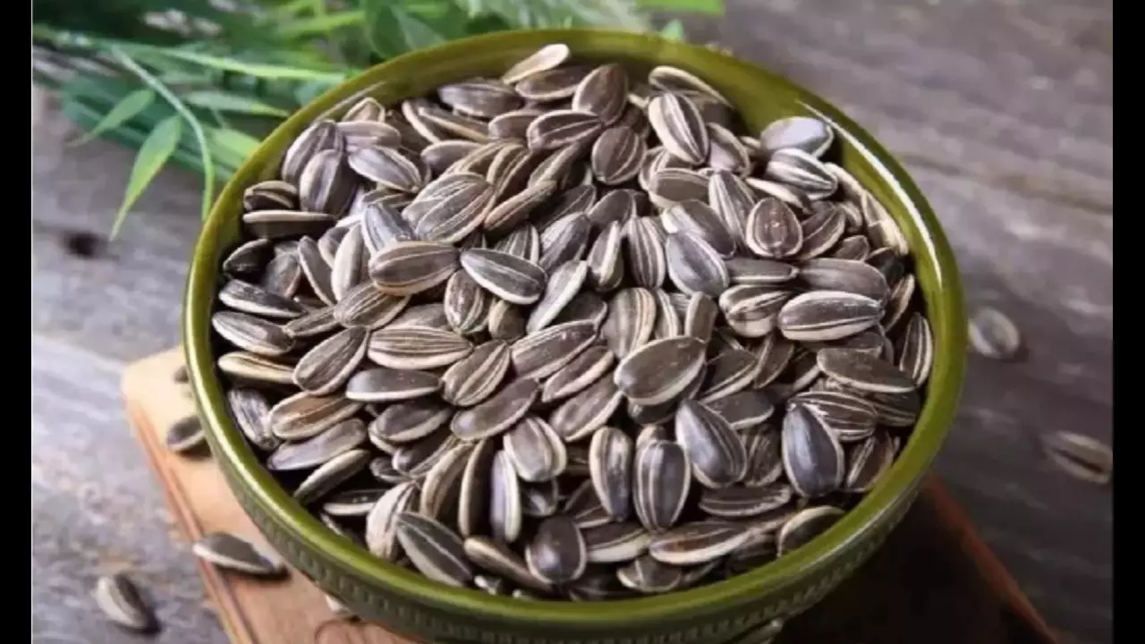 Sunflower Seeds Benefits: इस फूल के बीज शरीर को देते हैं 5 बेहतरीन फायदे, बुढ़ापे में हड्डियां भी रहेंगी मजबूत