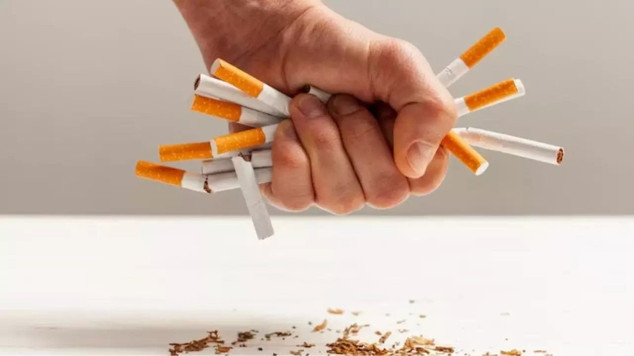 No Smoking Day 2025: स्मोकिंग से जल्दी मौत का बढ़ता है खतरा, इस तरह छुड़ा सकते हैं ये गंदी आदत