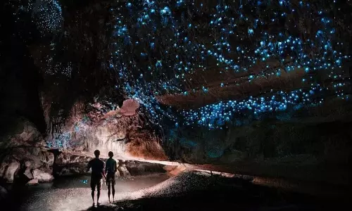 Waitomo Caves: सितारों के बीच समय बिताने का ख्वाब हो तो जरूर विजिट करें ये अद्भुत गुफाएं, किसी स्वर्ग से नजारे का दिलाती हैं एहसास
