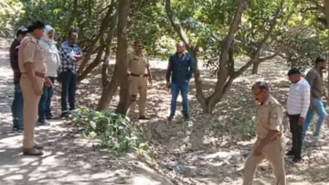 Lucknow News Today Dead Body 32 Year Old Woman Found in Mango Orchard in Malihabad