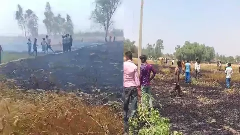 Power department negligence keeping wheat crop irrigated, anger among farmers
