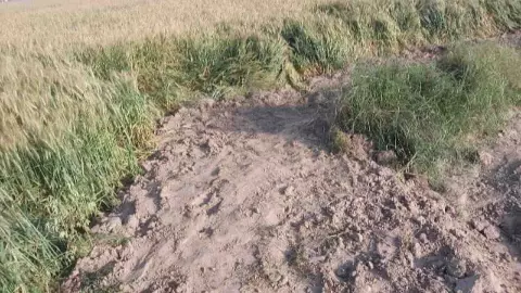 Etah News Today Domineering Accountant Ploughed the Wheat Crop and Cleared the Road