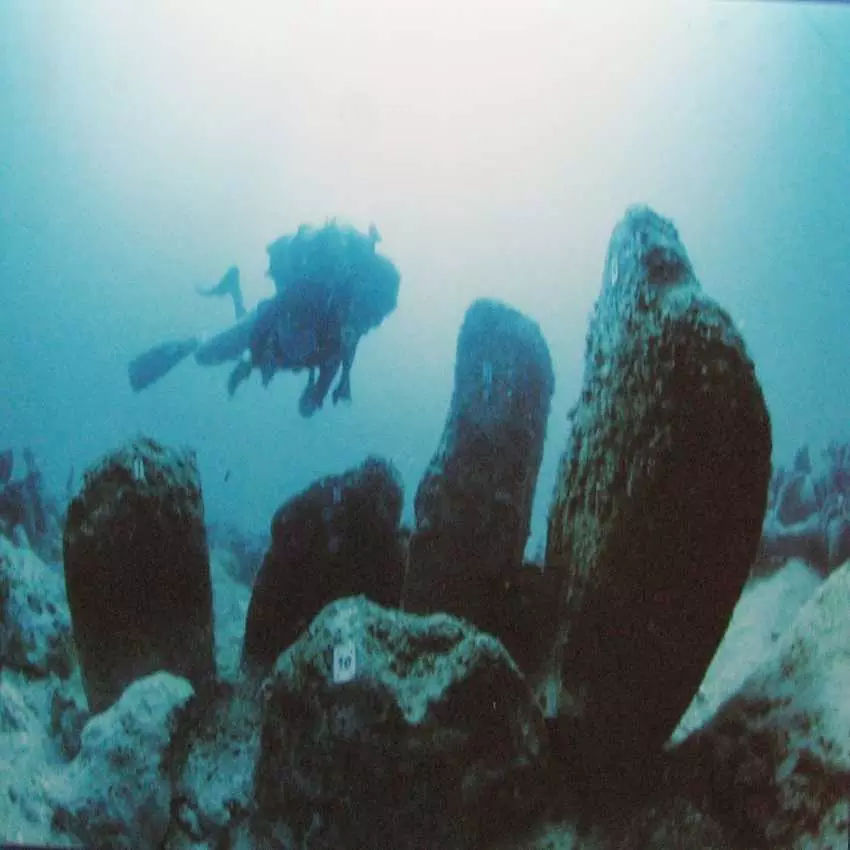 Ancient Underwater Cities (Image Credit-Social Media) Ancient Underwater Cities (Image Credit-Social Media)