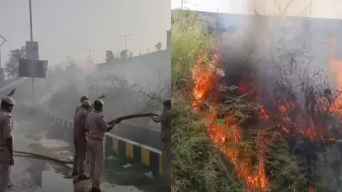 Lucknow News : IPL मैच शुरू होने से पहले इकाना स्टेडियम के पास झाड़ियों में लगी भीषण आग, मची अफरा-तफरी, दमकल कर्मियों ने समय रहते पाया काबू
