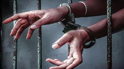 Meerut News: ऑपरेशन शस्त्र की गूंज, मेरठ परिक्षेत्र में दो माह में 563 गिरफ्तारी, अवैध हथियारों पर बड़ी चोट