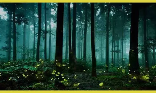 Bhimashankar Wildlife Sanctuary History