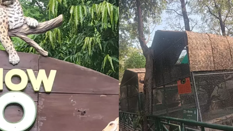 Lucknow Zoo: गर्मी में वन्य-जीवों की देखभाल को लेकर चिड़ियाघर ने उठाए अहम कदम, टाइगर-तेंदुआ के बाड़ों में बनाई गई नई गुफाएं Lucknow News