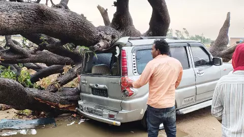 Woman dies due to tree falling in storm, Scorpio also damaged