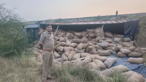 Jalaun News: बुंदेलखंड एक्सप्रेसवे पर अनियंत्रित होकर ट्रक खाई में पलटा चालक, क्लीनर घायल