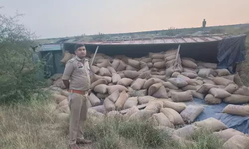 Jalaun News: बुंदेलखंड एक्सप्रेसवे पर अनियंत्रित होकर ट्रक खाई में पलटा चालक, क्लीनर घायल