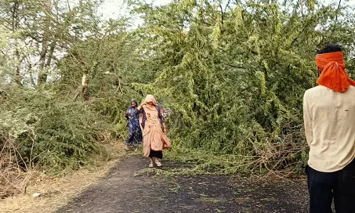 Banda News: मौसमी आपदा से बिलबिलाए अन्नदाता, गेहूं की फसल को नुक़सान, तमाम किसानों पर दोहरी मार