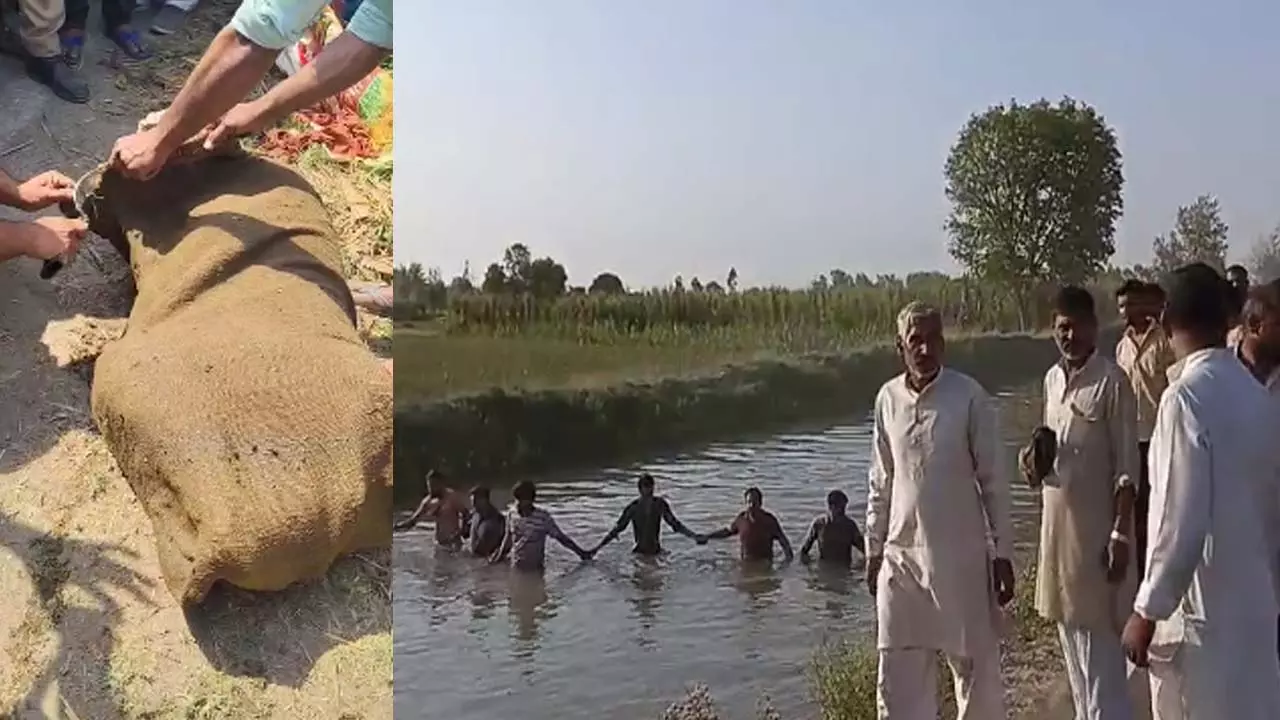 Lalchi Devar killed Bhabhi