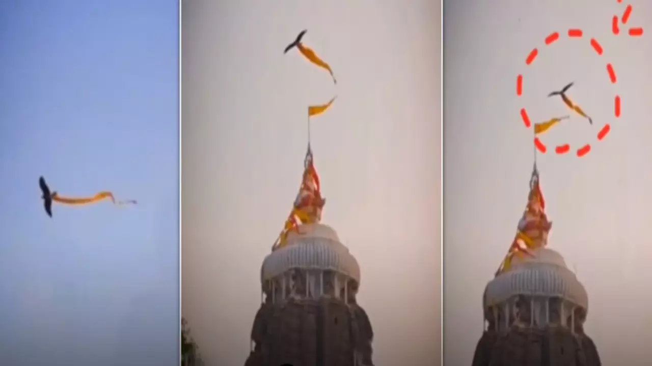 Lord Jagannath temple Viral Video