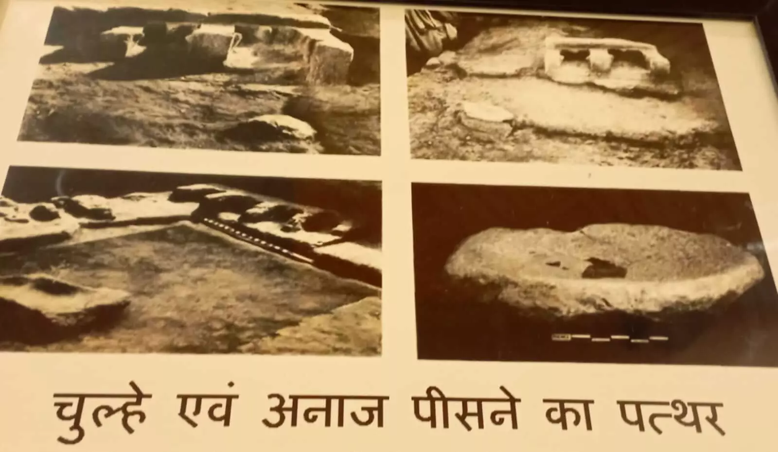 (फोटो साभार- सोशल मीडिया) (फोटो साभार- सोशल मीडिया)
