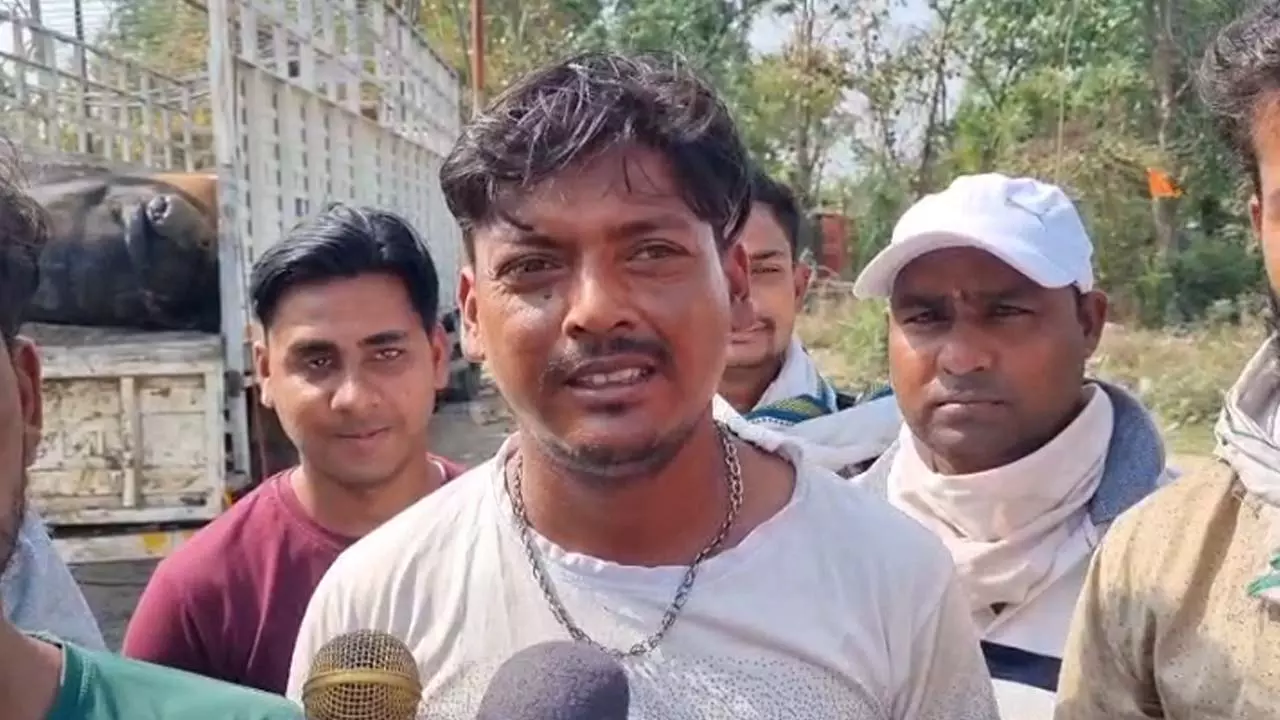 Containers full of dead cows riot, Hindu organizations