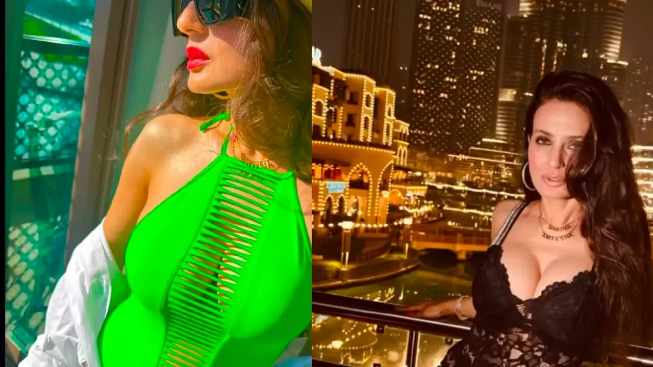 Ameesha Patel Pregnant