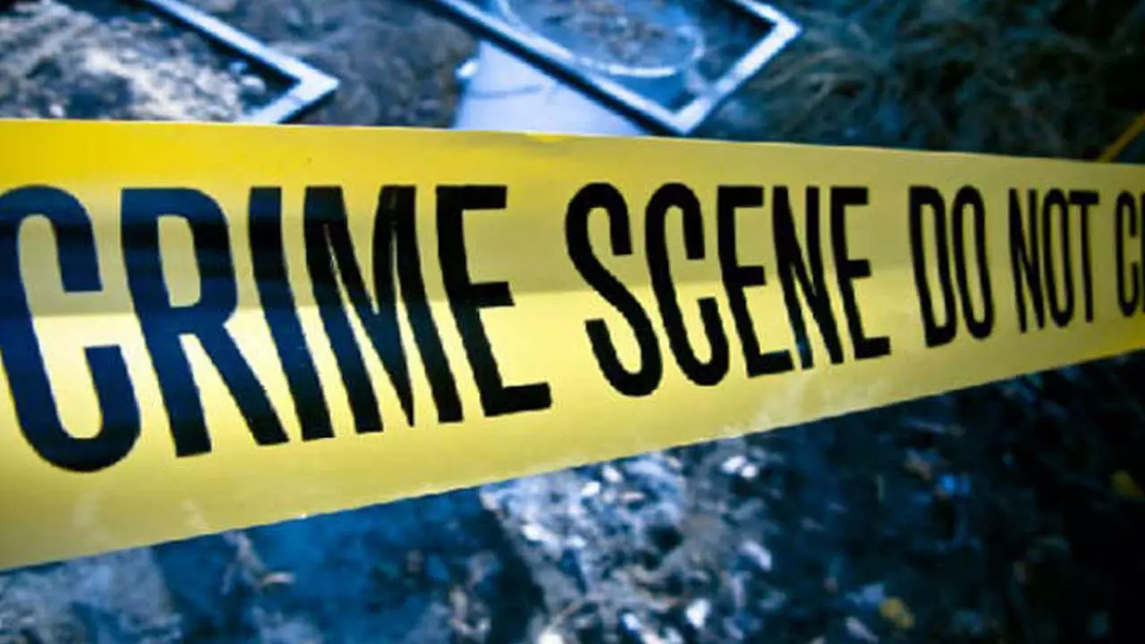 Sensation of murder of bearded elderly man, police investigation