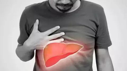 Liver Day 2025: लीवर को खराब कर देती हैं आपकी ये 6 आदतें, बढ़ता है गंभीर बीमारियों का रिस्क