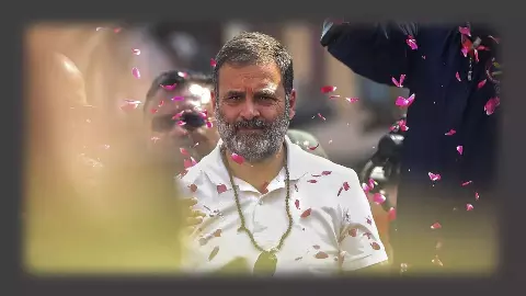 राहुल गांधी की कथित दोहरी नागरिकता पर इलाहाबाद हाईकोर्ट ने केंद्र से मांगा जवाब,  10 दिन में जवाब दाखिल करने को कहा