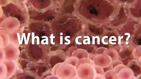 Cancer Kya Hai: दुनिया की सबसे भयंकर और जानलेवा बीमारी का विस्तृत विश्लेषण, जानिए कैंसर के कारण, लक्षण और प्रभाव