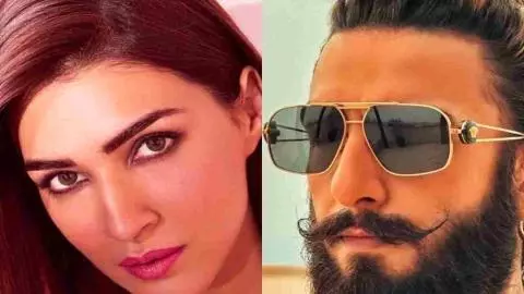 Don 3 Movie Update