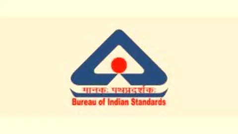 Government vacancy 2025: BIS में निकली सरकारी नौकरियां, जानें क्या है योग्यता और आवेदन प्रक्रिया