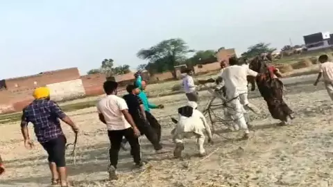 Mainpuri News: जमीन विवाद को लेकर आमने-सामने आए दो पक्ष, जमकर चले लाठी-डंडे
