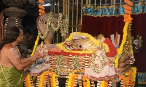 Chandanotsav Sinhachalam (Image Credit-Social Media)