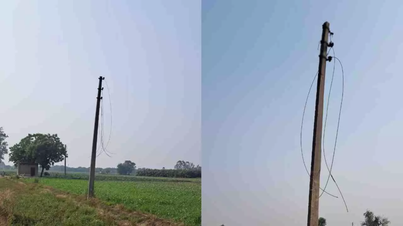 Thieves stolen electric wires from poles