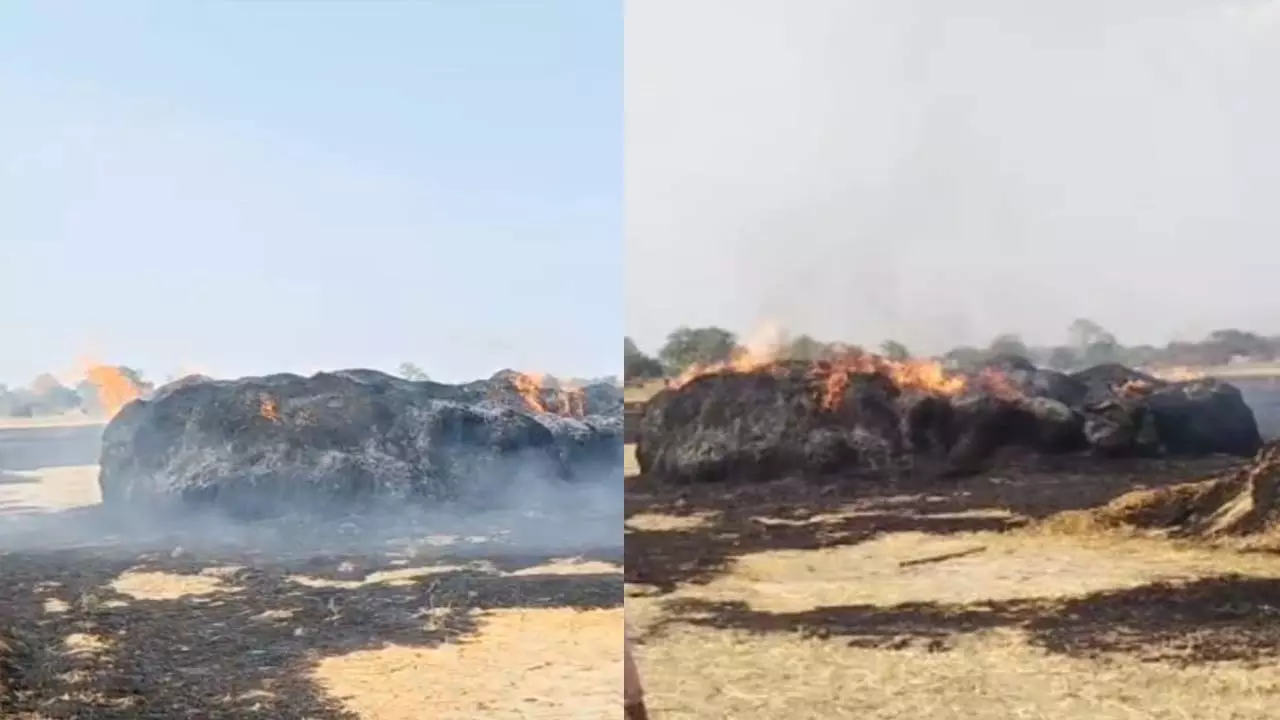 Fire broke out in pual spreading in eight bighas in Naugarh