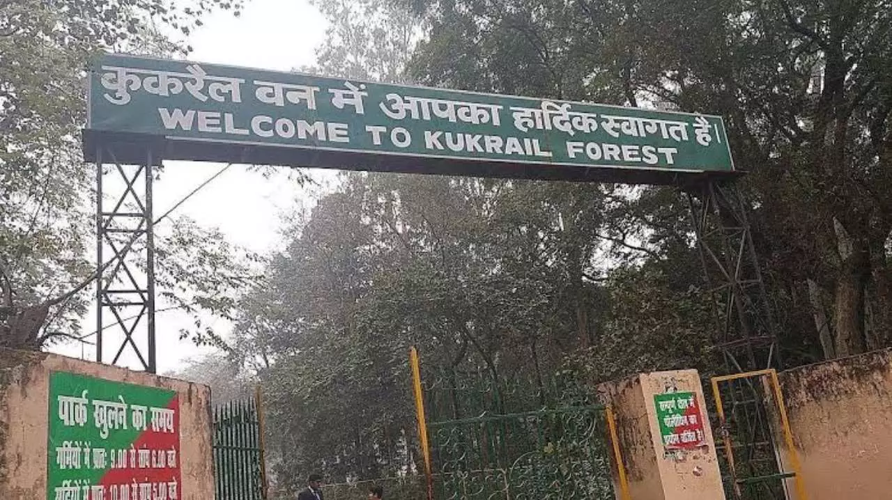 Lucknow News: कुकरैल नाइट सफारी के लिए सरकार ने जारी की 206 करोड़ की राशि, पहले फेज में एडवेंचर पार्क का भी होगा निर्माण