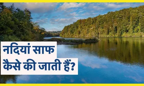 Germany Rivers History: कैसे जर्मनी ने मृतप्राय नदियों को दिया  जीवनदान, जानिए जर्मनी की नदियाँ और उनकी सफाई की गाथा