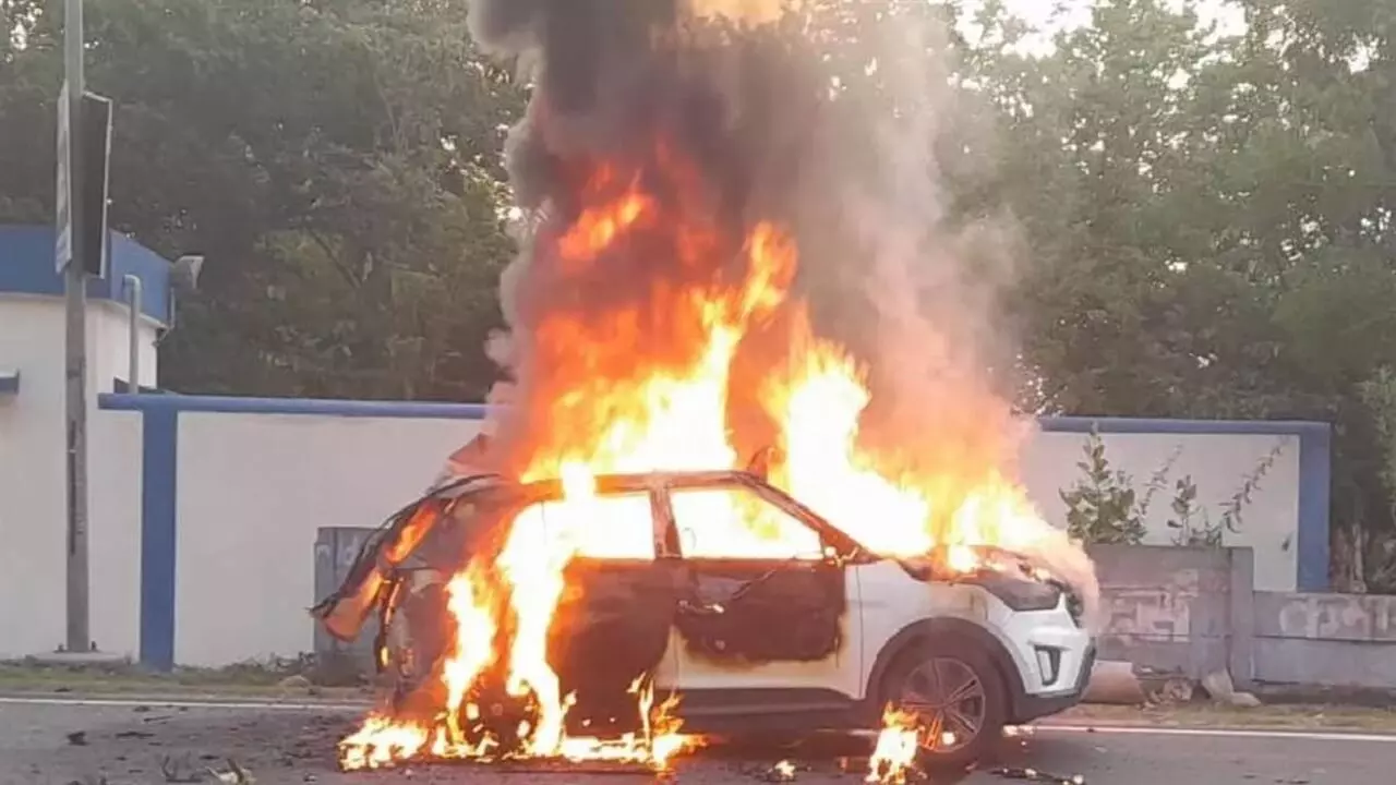 Summer Car Safety