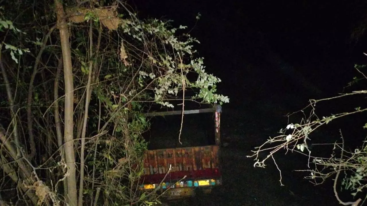 Three including mother and daughter standing on roadside hit by truck, killed