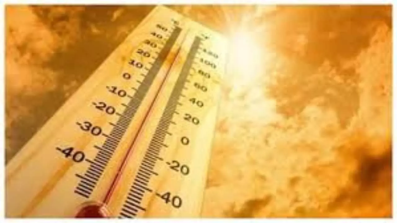Weather News