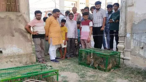 auraiya news