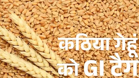 Emphasis on marketing of FPO after GI tagging of coarse wheat