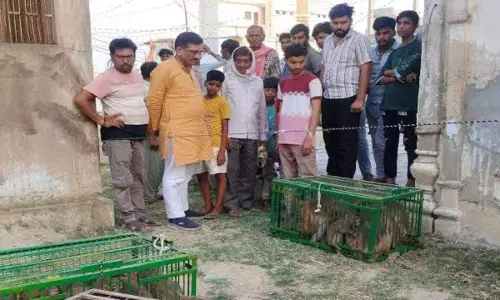 auraiya news