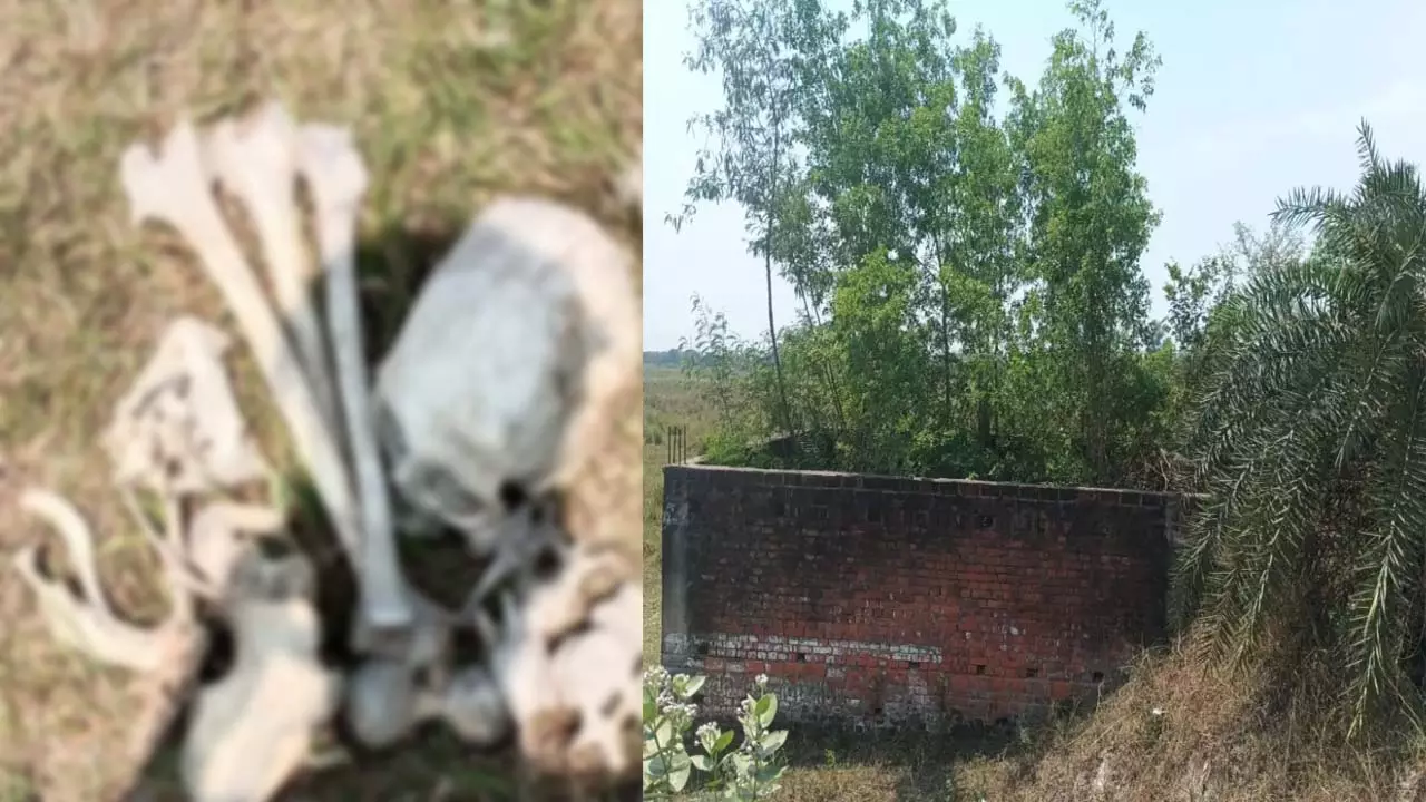 Male skeleton found in bush along Gonda Highway, on all kinds of discussions