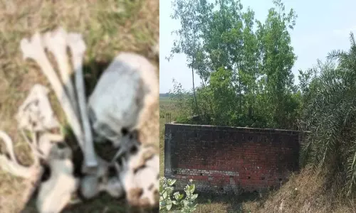 Male skeleton found in bush along Gonda Highway, on all kinds of discussions