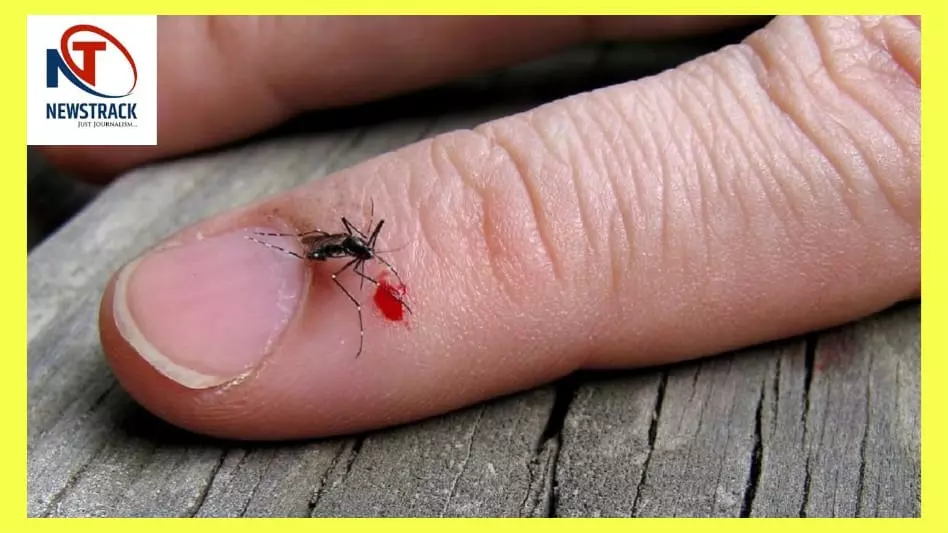 Reasons For Mosquito Bites