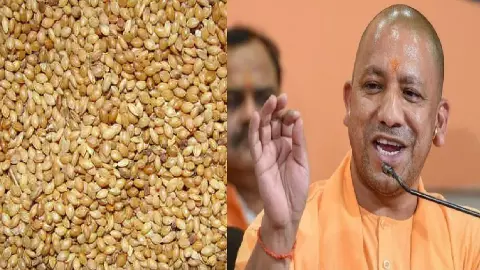 UP News: उचित दर वितरण प्रणाली होगी मजबूत: गरीबों की थाली तक राशन पहुंचाने के लिए योगी सरकार ने खोला खजाना, गरीबों को समय पर मिलेगा सस्ता राशन
